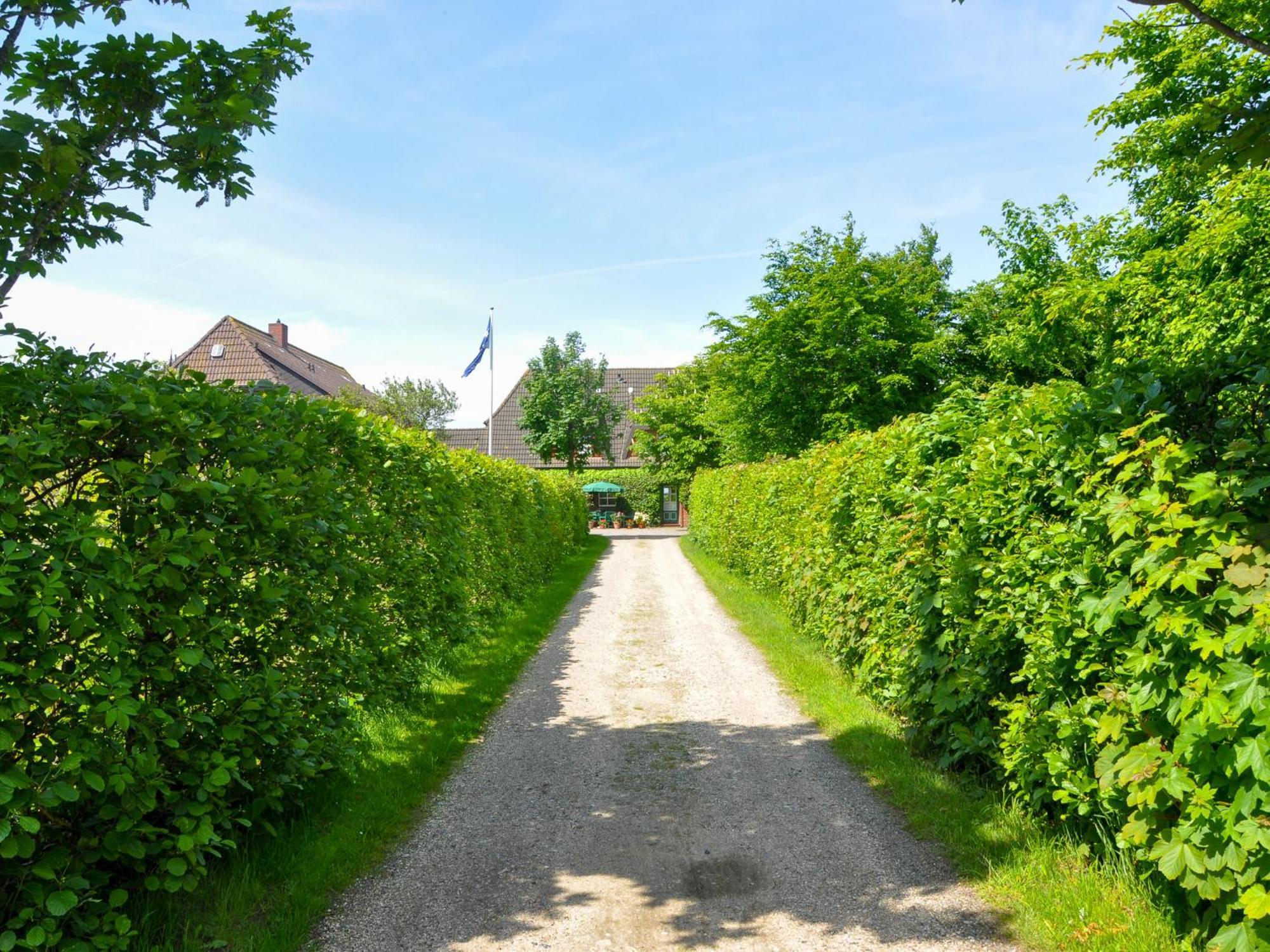 Apartmán Haus Am Deich Utersum Exteriér fotografie